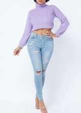 Hera Collection Chevron Turtle Neck Sweater (Lavender) 22563