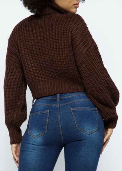 Hera Collection Turtleneck Crop Top Sweater (Chocolate) 22283