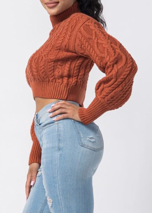 Hera Collection Turtle Neck Crop Cable Sweater (Rust) 22574