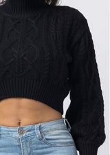 Hera Collection Turtle Neck Crop Cable Sweater (Black) 22574