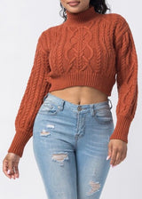 Hera Collection Turtle Neck Crop Cable Sweater (Rust) 22574